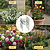 Vego Garden Plant Supports