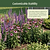 Vego Garden Plant Supports