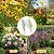 Vego Garden Plant Supports