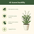 Vego Garden Plant Supports