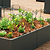 Vego Garden Plant Supports