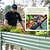 Clamp Set for Irrigation Kit