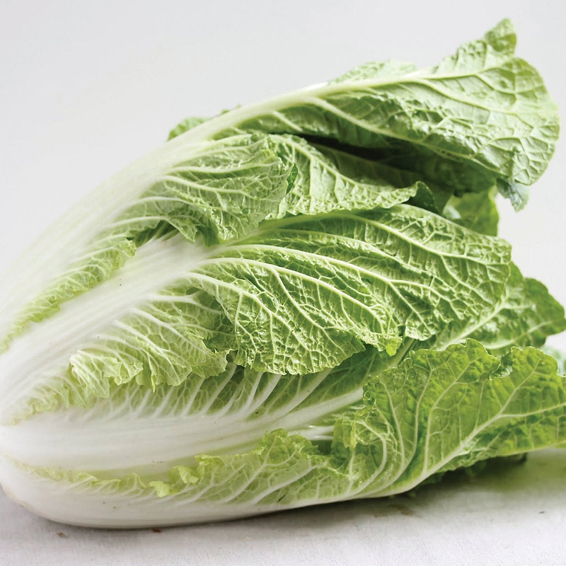 Napa Cabbage Seeds