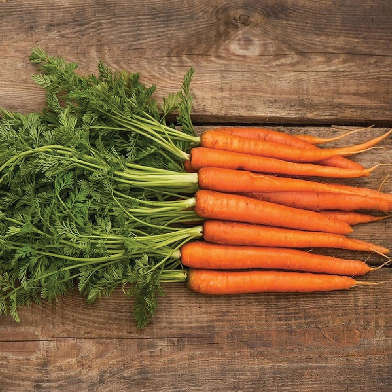 Scarlet Nantes Carrot Seeds