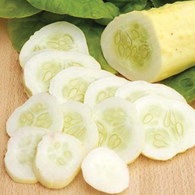 White Wonder Cucumber Seeds