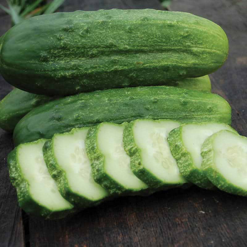 National Pickling Cucumber Seeds