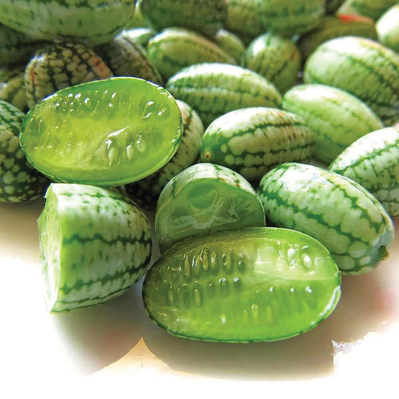 Cucamelon - Mexican Sour Gherkin Seeds