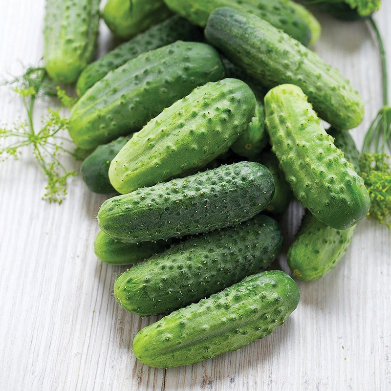 Homemade Pickles Cucumber Seeds