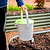 Kitchen Compost Caddy | Vego Garden