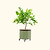 Self-Watering Rolling Citrus Tree Planter 30 Gallon - Gen 3