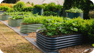 Vego Garden photo 14