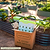 in-ground worm bin Lime | in-ground worm farm