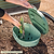in-ground worm bin Sage Green | in-ground worm farm