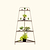 4-Tier Corner Plant Stand