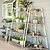 4-Tier Corner Plant Stand