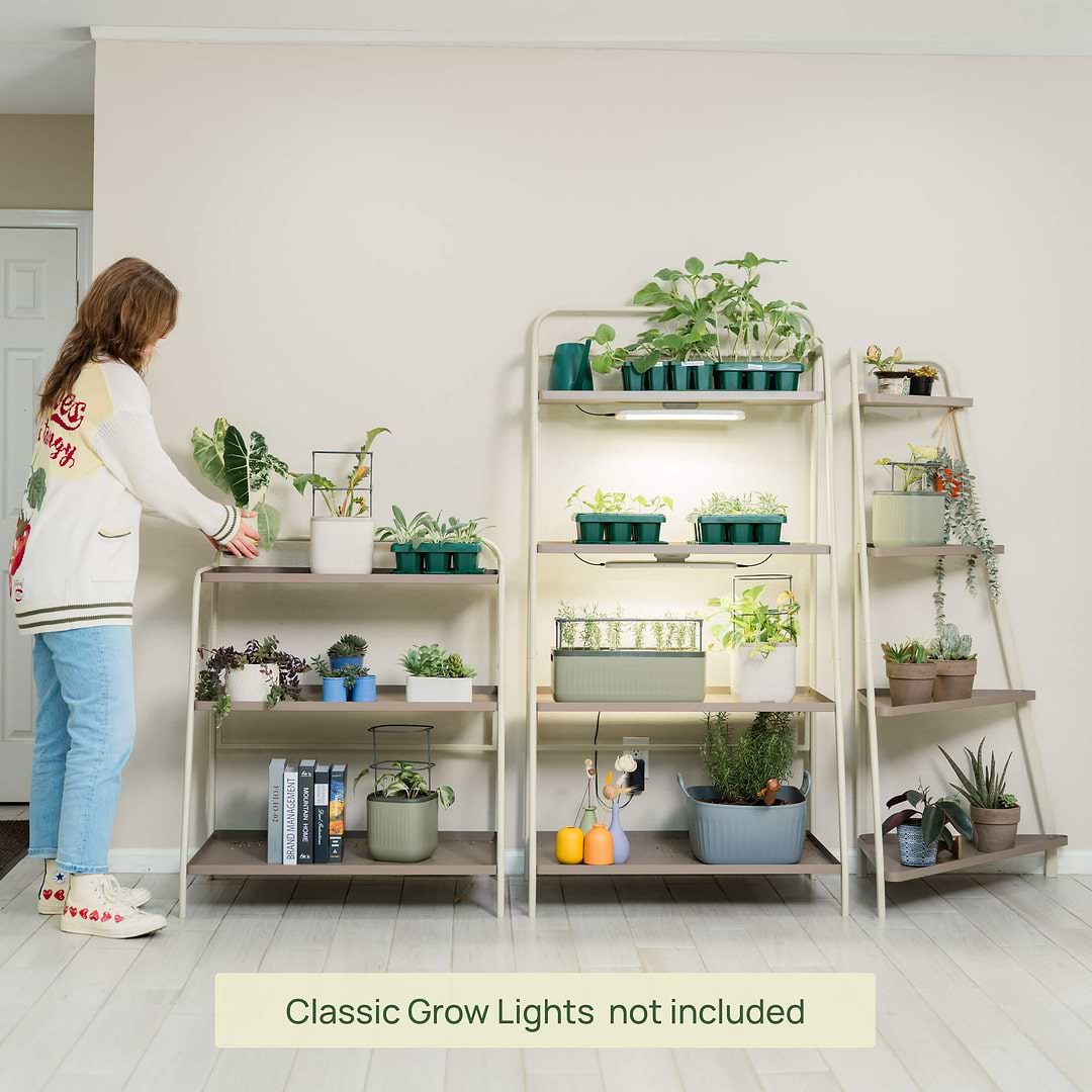 indoor corner plant stand ideas 4-Tier Corner Plant Stand - Space-Saving Rack