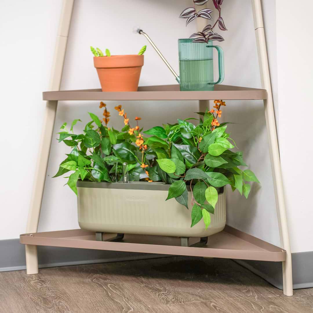hanging corner shelf for plants 4-Tier Corner Plant Stand - Space-Saving Rack