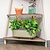4-Tier Corner Plant Stand