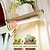 4-Tier Corner Plant Stand