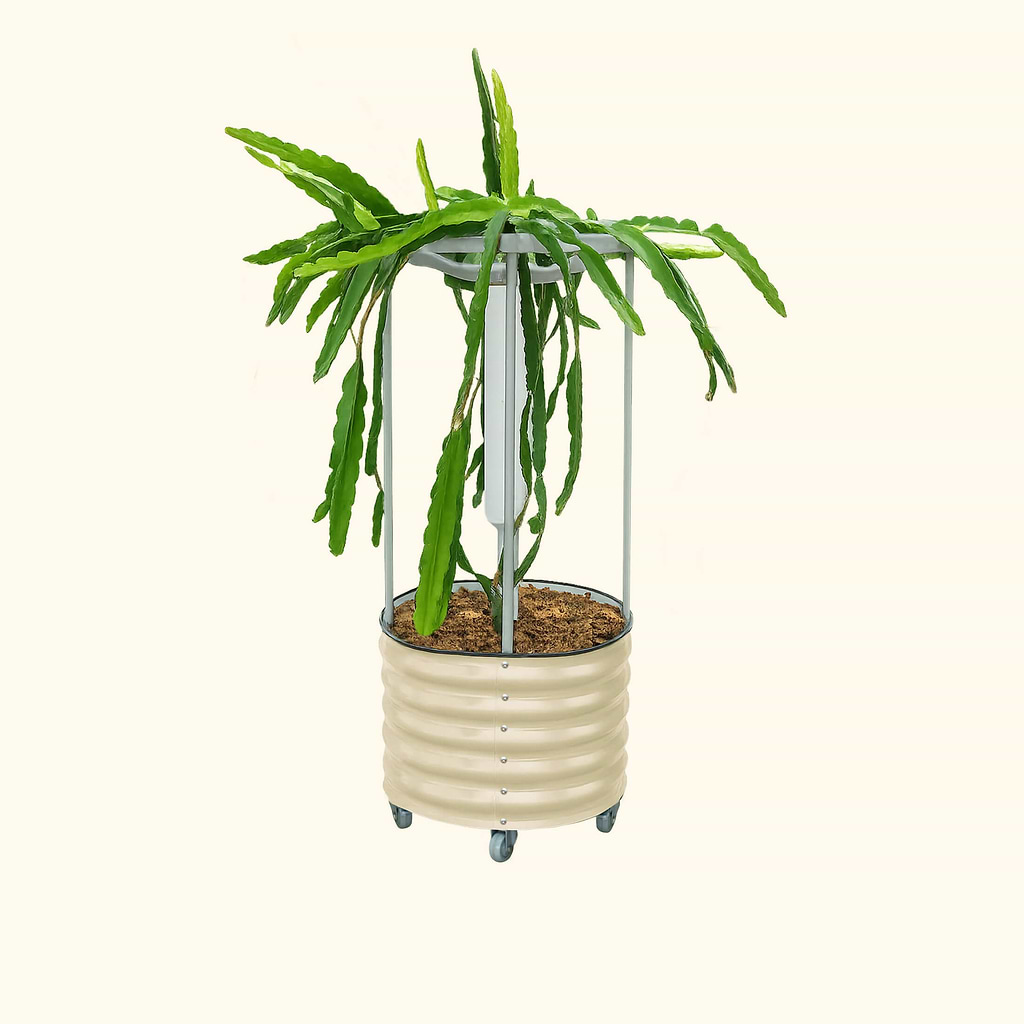 fruit plant pot Classic Rolling Dragon Fruit Planter Gen 2