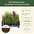 EZCube Self-Watering Planter 21" x 48" Elevated