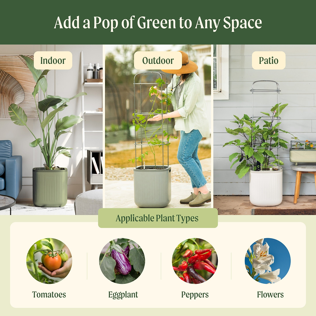 best potting mix for succulents Cactus and Succulent Potting Mix – Fantastic Gardens