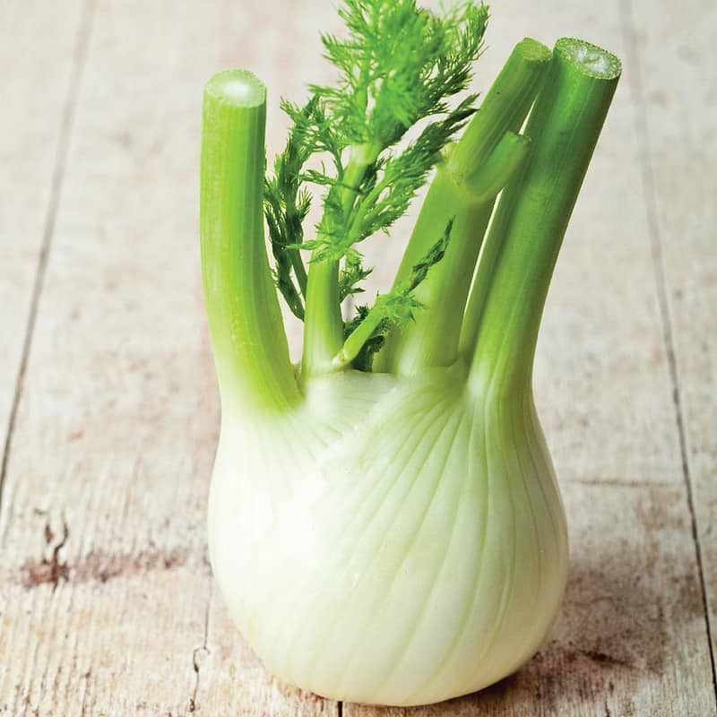 Florence Fennel Seeds
