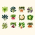 Winter/Fall Seeds Kit