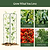 FlexGrow A-Frame Trellis Pro | Vego Garden