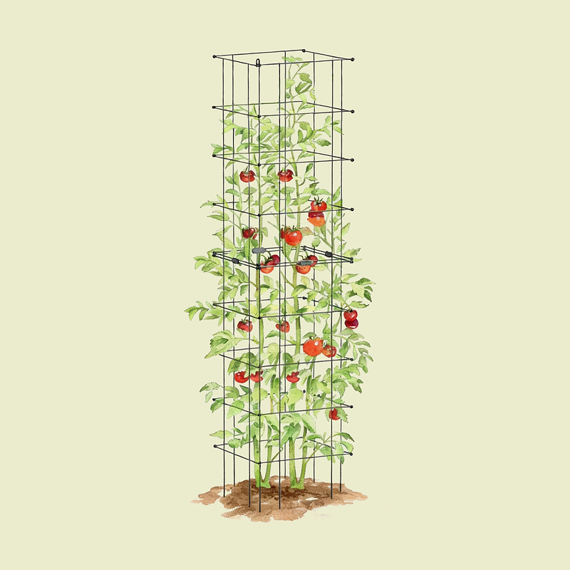 FlexGrow Tomato Cage | Vego Garden