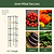 FlexGrow 3-Panel Tomato Cage | Vego Garden
