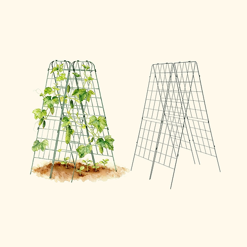 FlexGrow A-Frame Trellis Classic - 2 Pack | vego garden