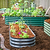 FlexGrow Tomato Cage | Vego Garden