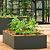 FlexGrow Tomato Cage | Vego Garden