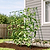 FlexGrow Tomato Cage | Vego Garden