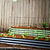 FlexGrow Tomato Cage | Vego Garden