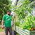 FlexGrow Tomato Cage | Vego Garden
