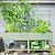 FlexGrow Tomato Cage | Vego Garden