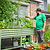FlexGrow Tomato Cage | Vego Garden
