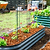 FlexGrow Tomato Cage | Vego Garden
