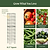 FlexGrow Tomato Cage | Vego Garden