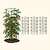 FlexGrow Tomato Cage | Vego Garden