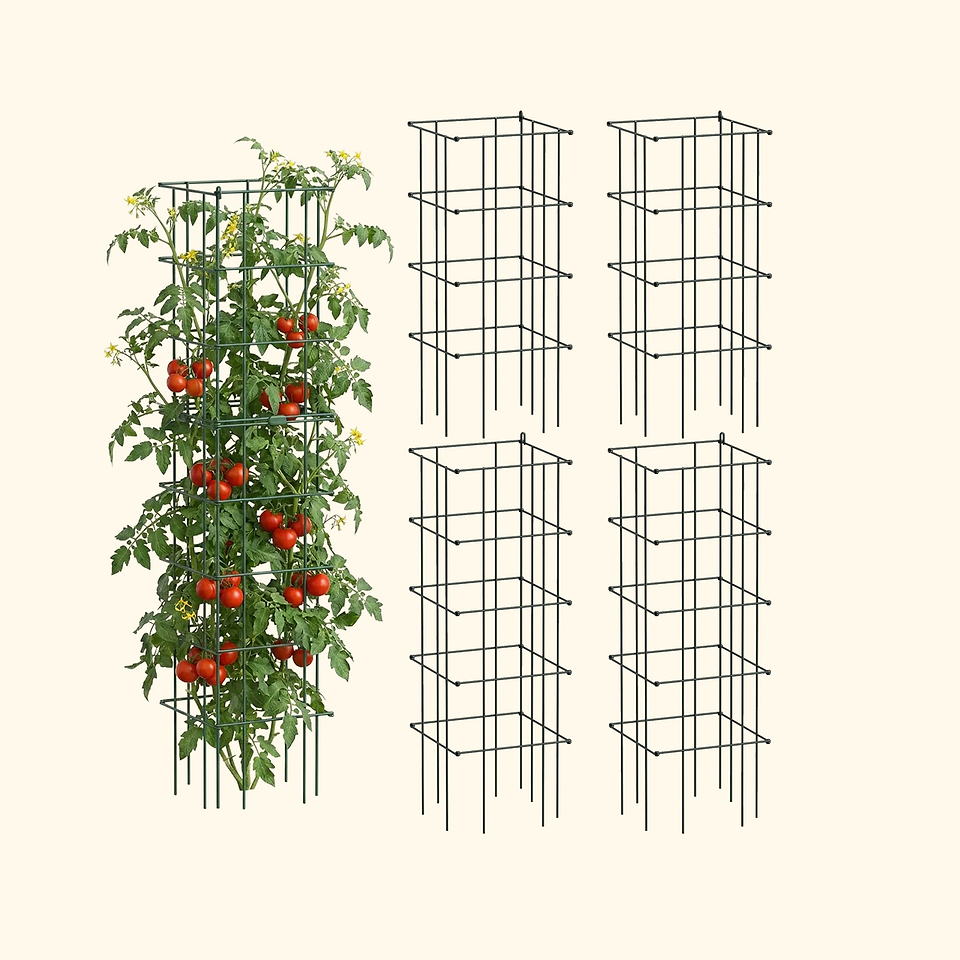 Tomato Cages