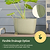FlexTrug | Vego Garden