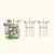 Flower Cage Trumpet - 2 Pack | Vego Garden