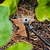 Fountain Sprinkler for Irrigation Kit | Vego Garden