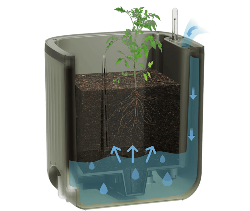Vego garden beds