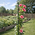 Garden Stake - 4 Pack
