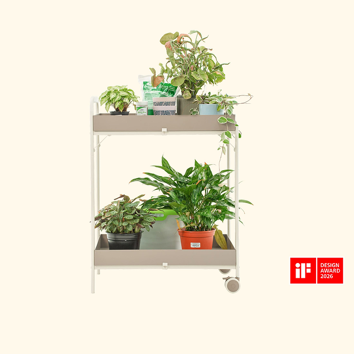 plant pots wall H Potter Hanging Planter