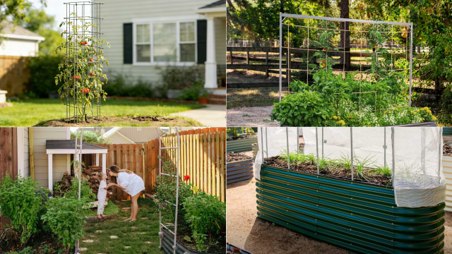 Vego Garden photo 18